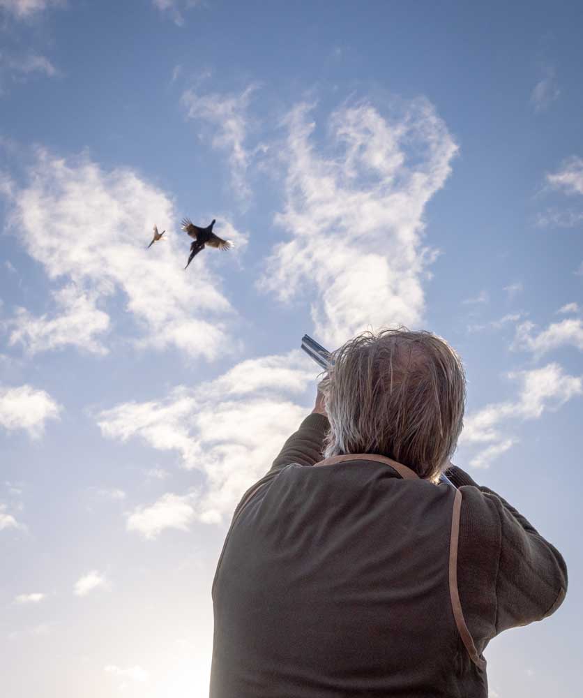 Driven shooting in the UK